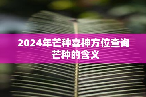 2025年芒种喜神方位查询  芒种的含义