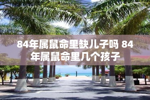 84年属鼠命里缺儿子吗 84年属鼠命里几个孩子