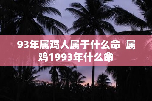 93年属鸡人属于什么命  属鸡1993年什么命