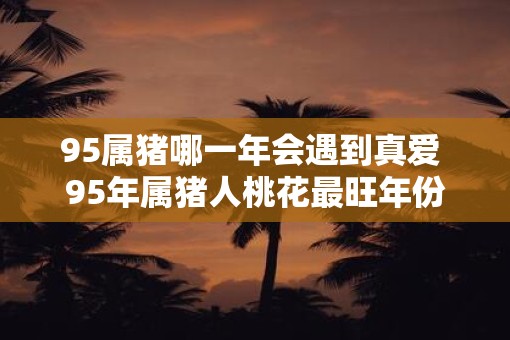 95属猪哪一年会遇到真爱 95年属猪人桃花最旺年份