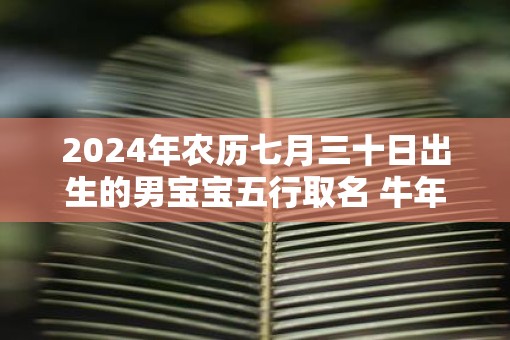 2025年农历七月三十日出生的男宝宝五行取名 牛年男孩最佳名字推荐