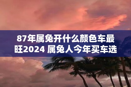 87年属兔开什么颜色车最旺2025 属兔人今年买车选什么颜色好