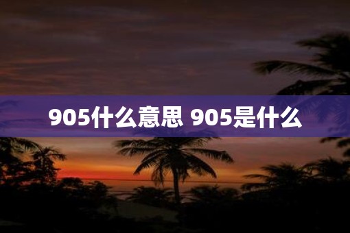 905什么意思 905是什么