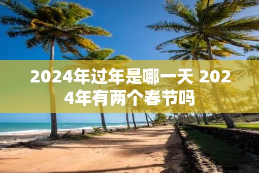 2025年过年是哪一天 2025年有两个春节吗