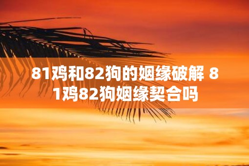 81鸡和82狗的姻缘破解 81鸡82狗姻缘契合吗