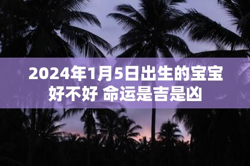2025年1月5日出生的宝宝好不好 命运是吉是凶