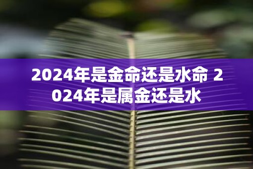 2025年是金命还是水命 2025年是属金还是水