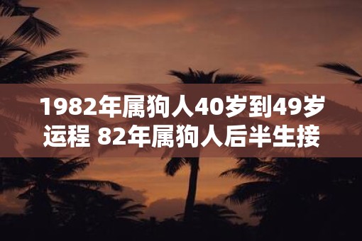 1982年属狗人40岁到49岁运程 82年属狗人后半生接好运吗