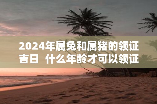 2025年属兔和属猪的领证吉日  什么年龄才可以领证