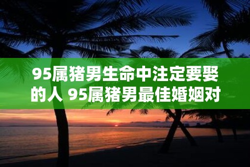 95属猪男生命中注定要娶的人 95属猪男最佳婚姻对象为谁