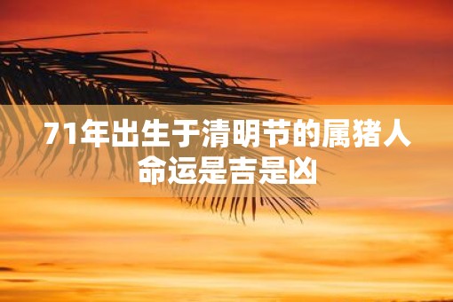 71年出生于清明节的属猪人命运是吉是凶
