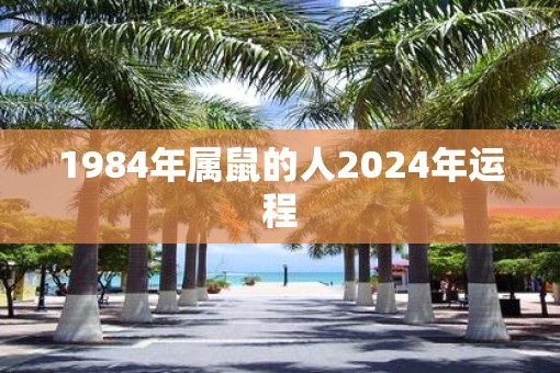 1984年属鼠的人2025年运程