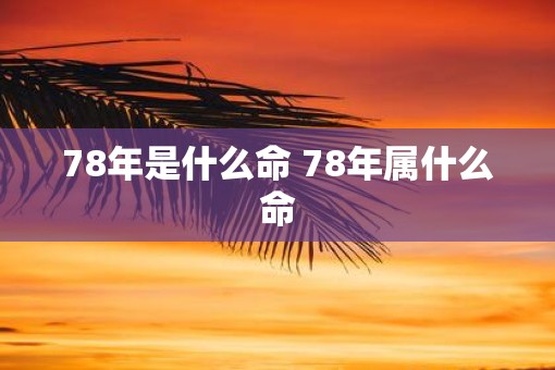 78年是什么命 78年属什么命