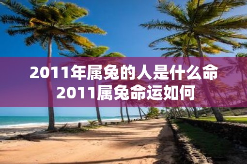 2011年属兔的人是什么命 2011属兔命运如何
