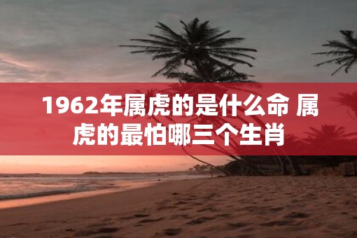 1962年属虎的是什么命 属虎的最怕哪三个生肖 1962年属虎的是什么命 属虎的最怕哪三个生肖