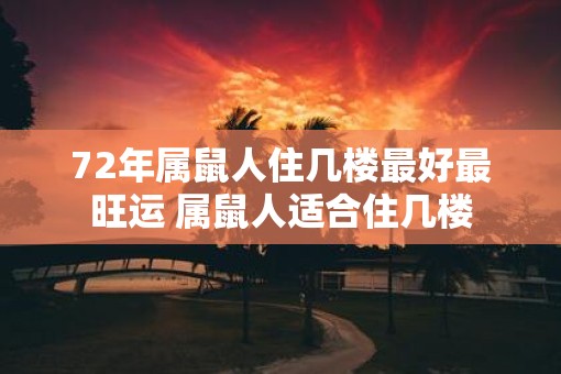 72年属鼠人住几楼最好最旺运 属鼠人适合住几楼