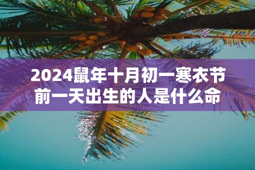 2025鼠年十月初一寒衣节前一天出生的人是什么命