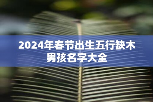 2025年春节出生五行缺木男孩名字大全