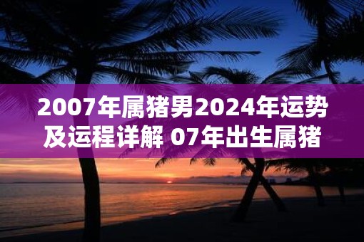 2007年属猪男2025年运势及运程详解 07年出生属猪人2025全年每月运势男性