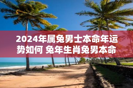 2025年属兔男士本命年运势如何 蛇年生肖兔男本命年运气好不好