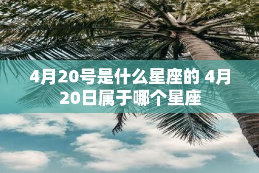 4月20号是什么星座的 4月20日属于哪个星座