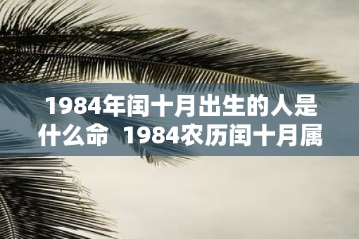 1984年闰十月出生的人是什么命  1984农历闰十月属鼠命运