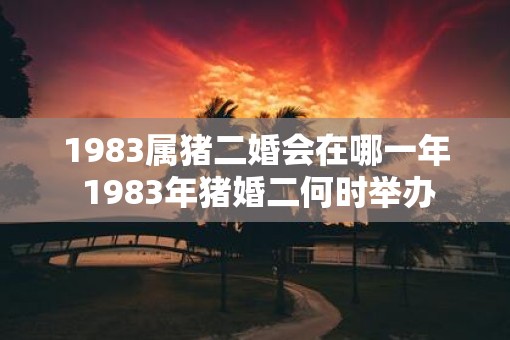 1983属猪二婚会在哪一年 1983年猪婚二何时举办