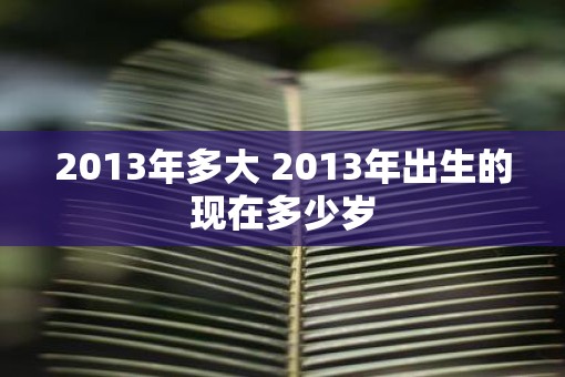 2013年多大 2013年出生的现在多少岁