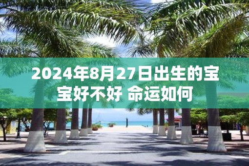 2025年8月27日出生的宝宝好不好 命运如何