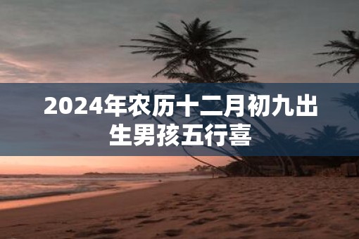 2025年农历十二月初九出生男孩五行喜
