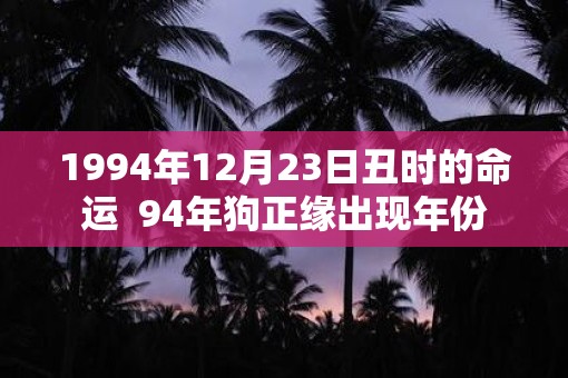 1994年12月23日丑时的命运  94年狗正缘出现年份