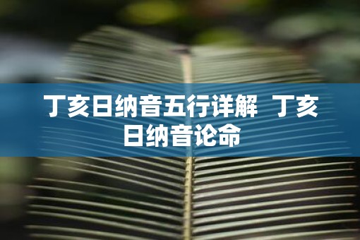 丁亥日纳音五行详解  丁亥日纳音论命