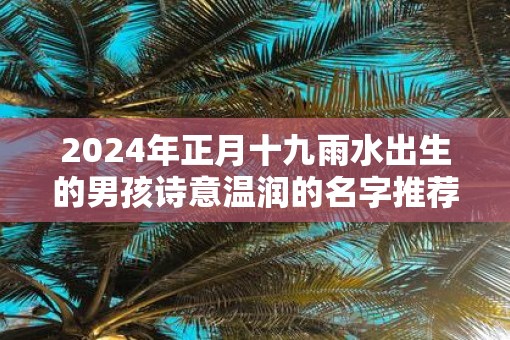 2025年正月十九雨水出生的男孩诗意温润的名字推荐