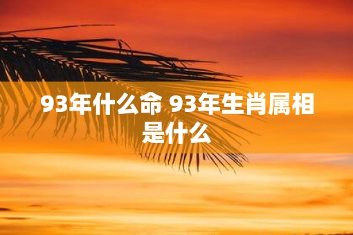 93年什么命 93年生肖属相是什么