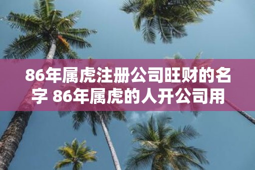 86年属虎注册公司旺财的名字 86年属虎的人开公司用什么字好