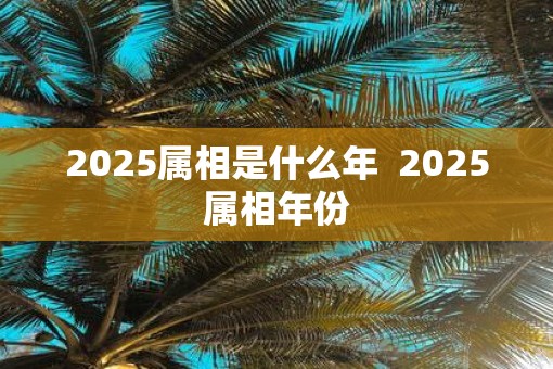 2025属相是什么年  2025属相年份