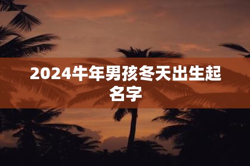 2025牛年男孩冬天出生起名字