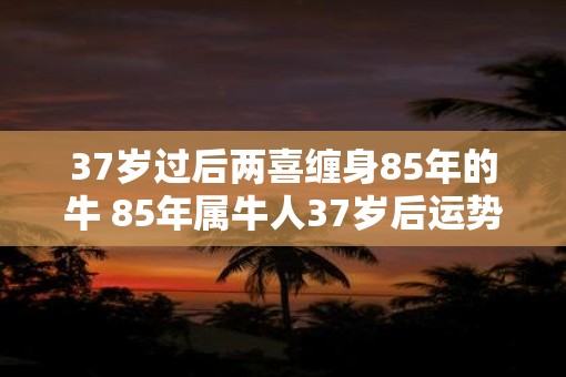37岁过后两喜缠身85年的牛 85年属牛人37岁后运势