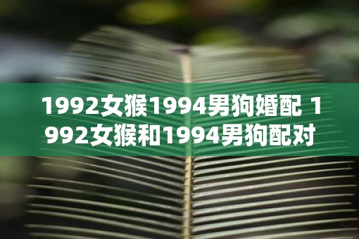1992女猴1994男狗婚配 1992女猴和1994男狗配对合适吗