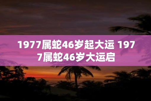 1977属蛇46岁起大运 1977属蛇46岁大运启 1977属蛇46岁起大运 1977属蛇46岁大运启