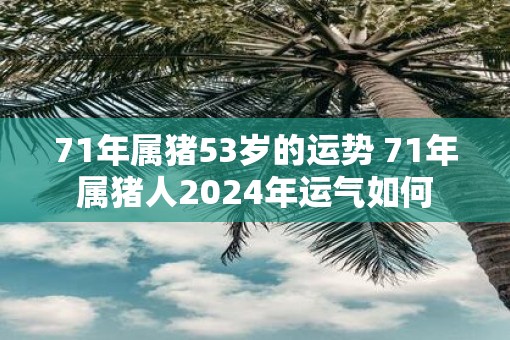 71年属猪53岁的运势 71年属猪人2025年运气如何