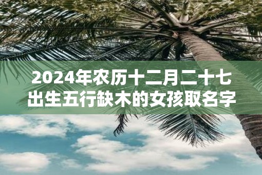 2025年农历十二月二十七出生五行缺木的女孩取名字