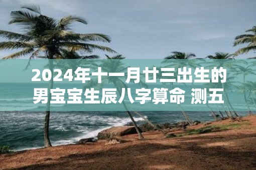 2025年十一月廿三出生的男宝宝生辰八字算命 测五行