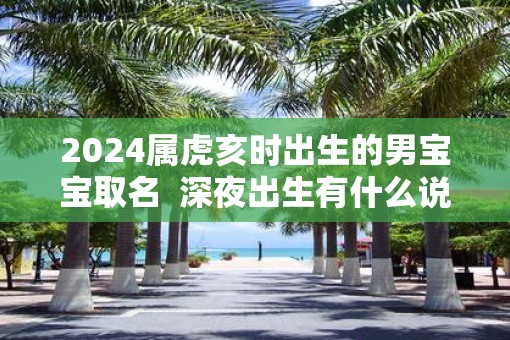 2025属虎亥时出生的男宝宝取名  深夜出生有什么说法