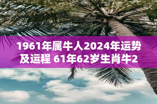 1961年属牛人2025年运势及运程 61年62岁生肖牛2025年每月运势