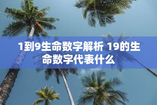 1到9生命数字解析 19的生命数字代表什么