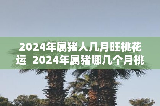 2025年属猪人几月旺桃花运  2025年属猪哪几个月桃花旺
