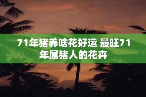 71年猪养啥花好运 最旺71年属猪人的花卉