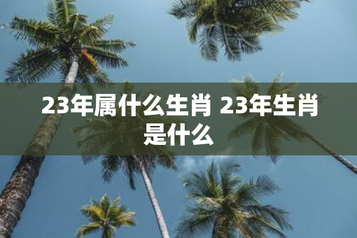 23年属什么生肖 23年生肖是什么