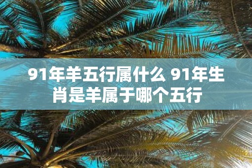 91年羊五行属什么 91年生肖是羊属于哪个五行